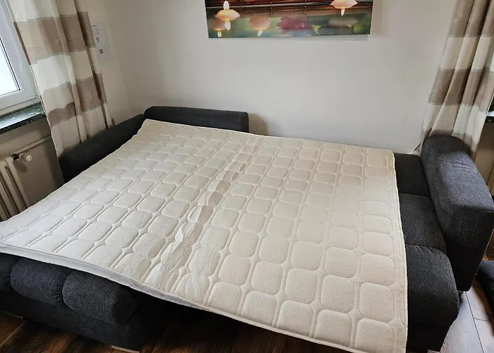 Exklusives Und Helles Erdgeschoss-apartment No 2 Im Zentrum Von Kassel, Schnelles 1gbit Internet, Geschirrspüler, Boxspringbetten *